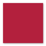 Carte faire part Pollen 210g 135 x 135mm par 25 - Rouge Groseille