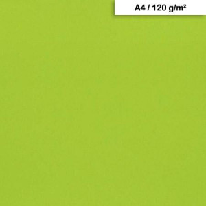 Feuille de papier Maya A4 21 x 29,7 cm 120 g/m² - vendu à la feuille - Vert mousse