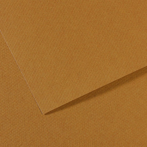 Papier Mi-Teintes 160g 75 x 110cm - 501 - Marron Foncé