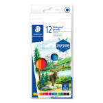Crayon de couleur Design Journey étui de 12 pcs